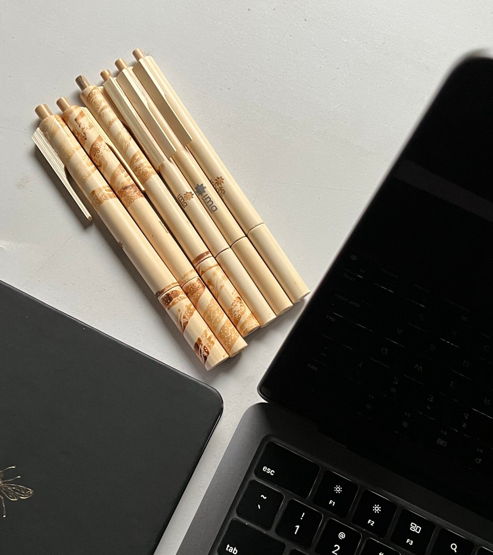 Bamboo Pen
